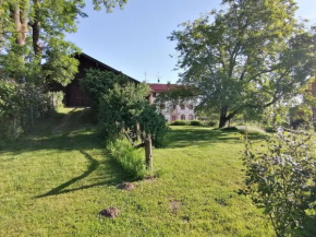 Tiny X im Marxhof Seebruck am Chiemsee